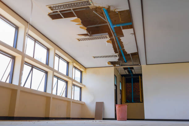 Best Water damage contractors near me  in Sutherlin, OR