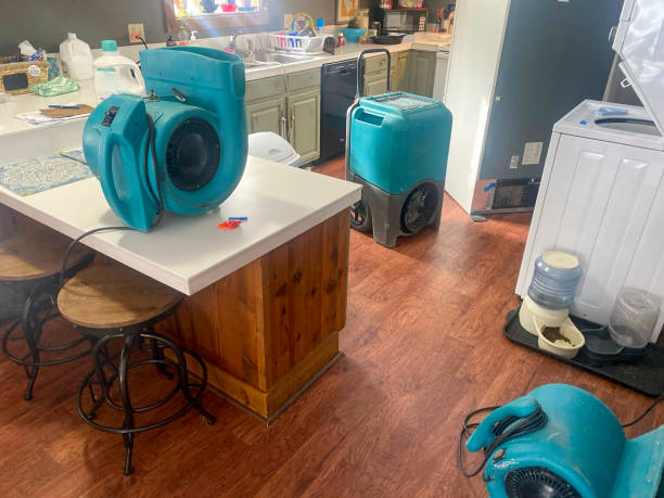 Best Fire Damage Restoration  in Sutherlin, OR