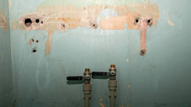 Best Water damage mitigation services  in Sutherlin, OR
