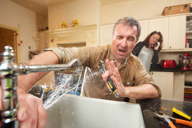 Best Mold removal after water damage  in Sutherlin, OR